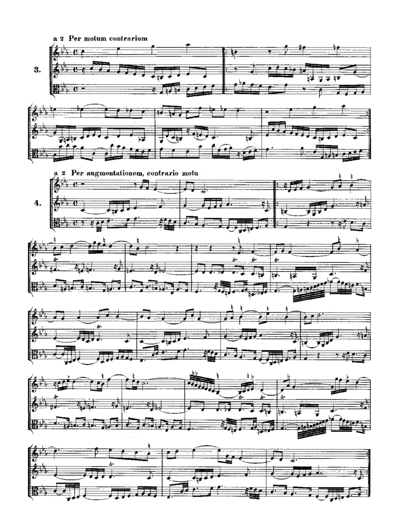 TheMusicalOffering_一万首著名钢琴曲谱哈农贝多芬合集视频教学电子版高清无水印可打印_1古典钢琴知名音乐家谱_巴赫钢琴谱全集