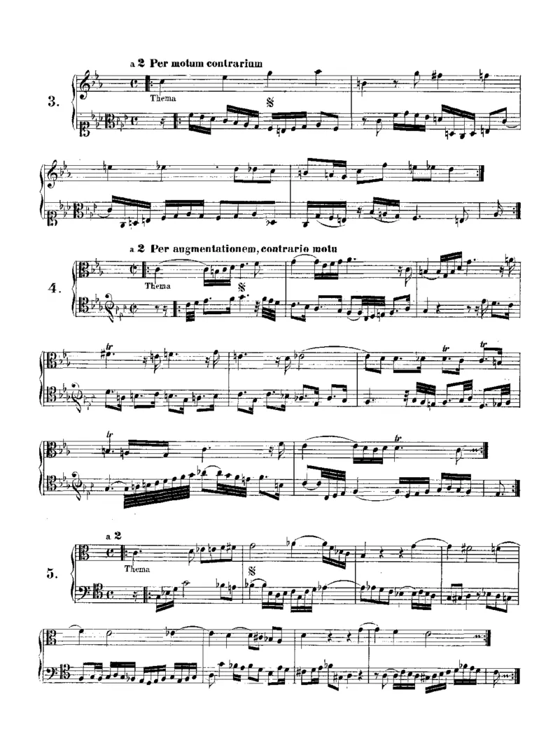 TheMusicalOffering_一万首著名钢琴曲谱哈农贝多芬合集视频教学电子版高清无水印可打印_1古典钢琴知名音乐家谱_巴赫钢琴谱全集