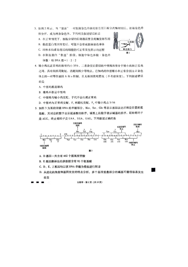 重庆市巴蜀中学2023-2024学年高三下2月月考生物试题_2024年2月_01每日更新_22号_2024届重庆市巴蜀中学高考适应性月考卷(六)_重庆市巴蜀中学2024届高考适应性月考卷(六)生物