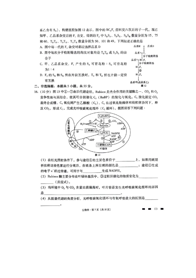 重庆市巴蜀中学2023-2024学年高三下2月月考生物试题_2024年2月_01每日更新_22号_2024届重庆市巴蜀中学高考适应性月考卷(六)_重庆市巴蜀中学2024届高考适应性月考卷(六)生物