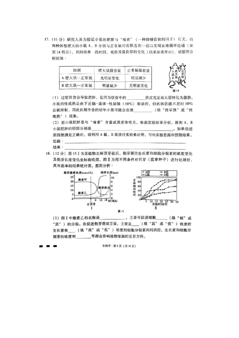 重庆市巴蜀中学2023-2024学年高三下2月月考生物试题_2024年2月_01每日更新_22号_2024届重庆市巴蜀中学高考适应性月考卷(六)_重庆市巴蜀中学2024届高考适应性月考卷(六)生物