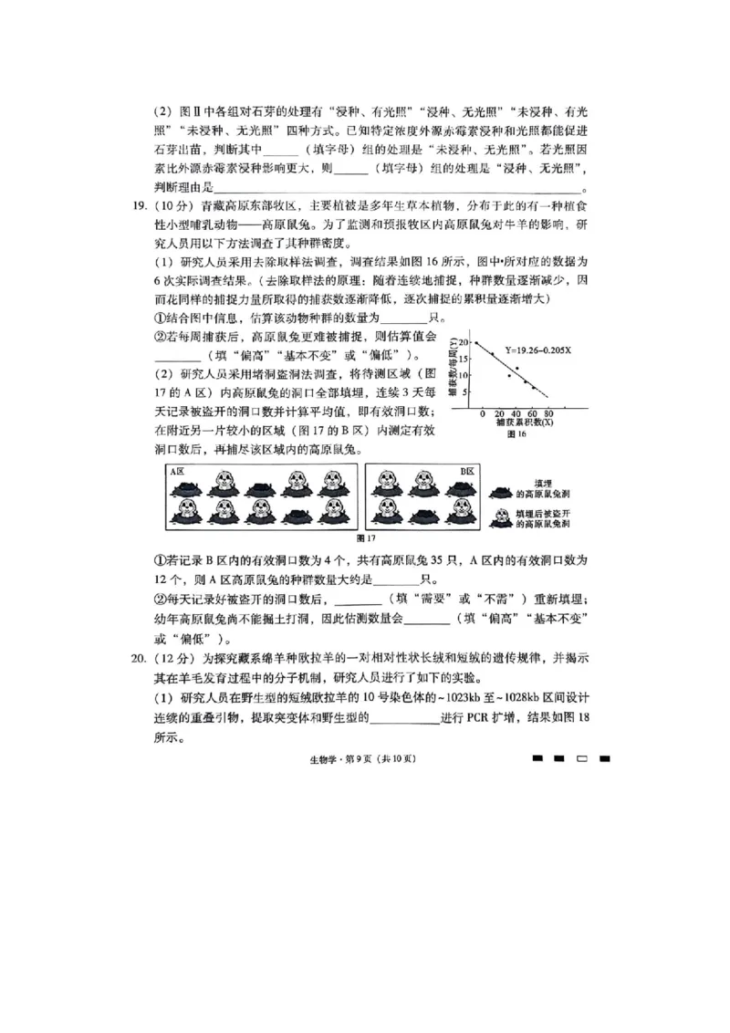 重庆市巴蜀中学2023-2024学年高三下2月月考生物试题_2024年2月_01每日更新_22号_2024届重庆市巴蜀中学高考适应性月考卷(六)_重庆市巴蜀中学2024届高考适应性月考卷(六)生物