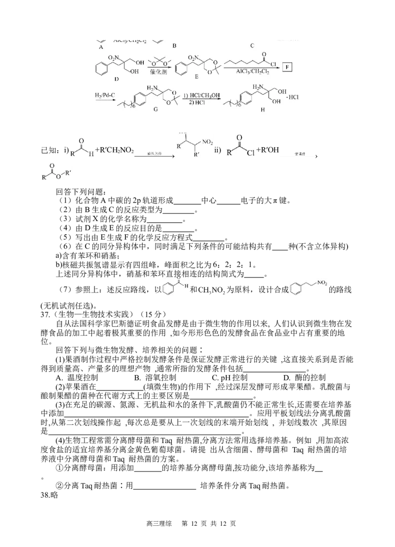 理综试题_2024年2月_01每日更新_29号_2024届四川省射洪中学高三下学期开学考试_四川省射洪中学2023-2024学年高三下学期开学考试理综Word版含答案