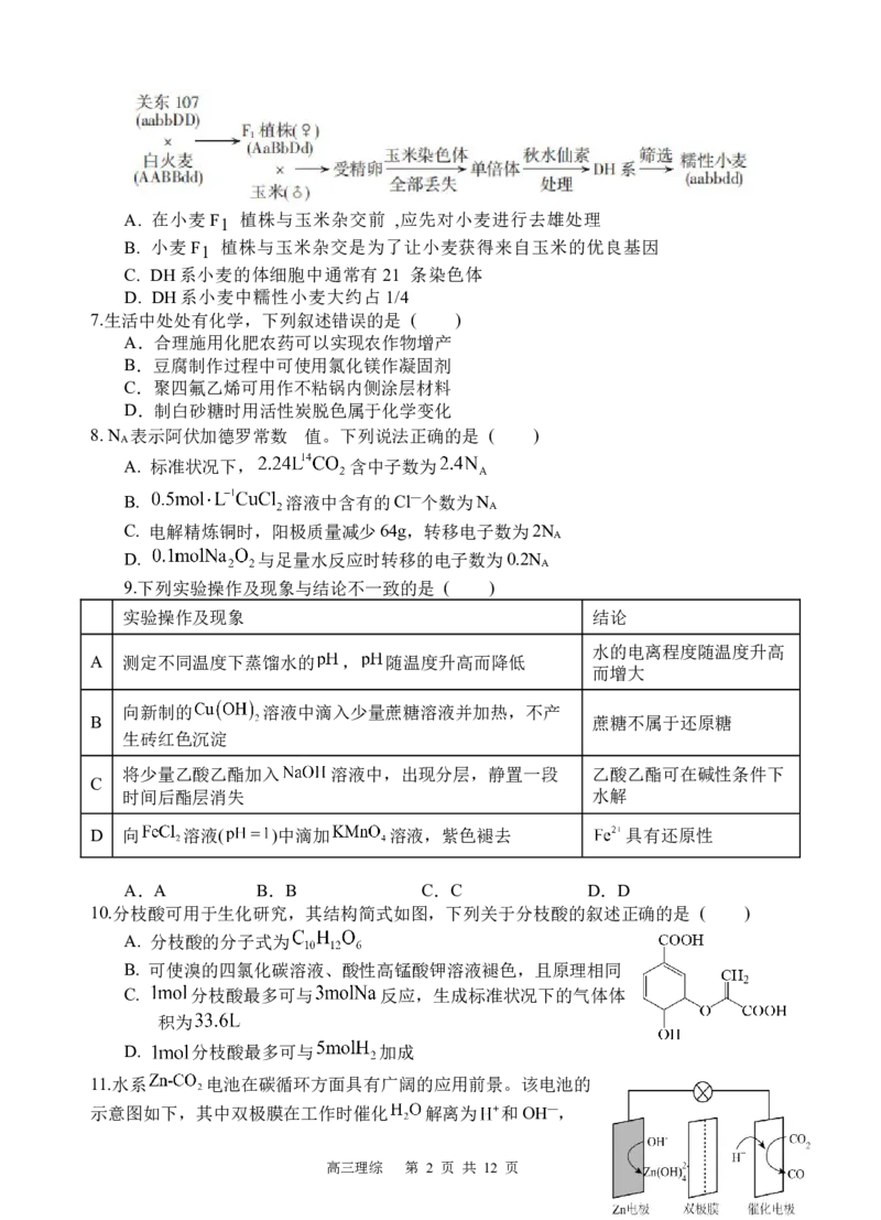 理综试题_2024年2月_01每日更新_29号_2024届四川省射洪中学高三下学期开学考试_四川省射洪中学2023-2024学年高三下学期开学考试理综Word版含答案
