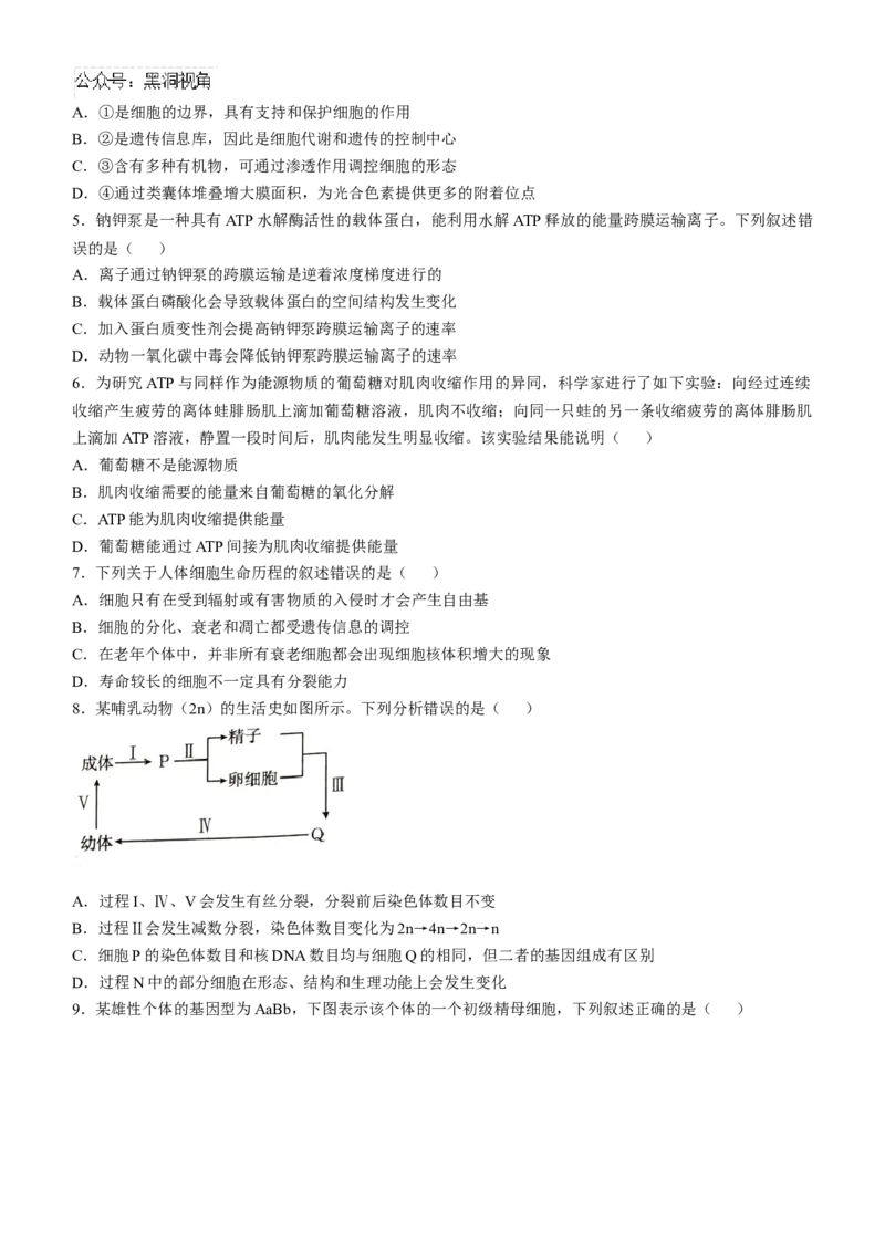 河北省承德市2024-2025学年高三上学期期中考试生物试卷（含答案）_2024-2025高三（6-6月题库）_2024年11月试卷_1128河北省承德市2024-2025学年高三上学期期中考试（金太阳25-122C）