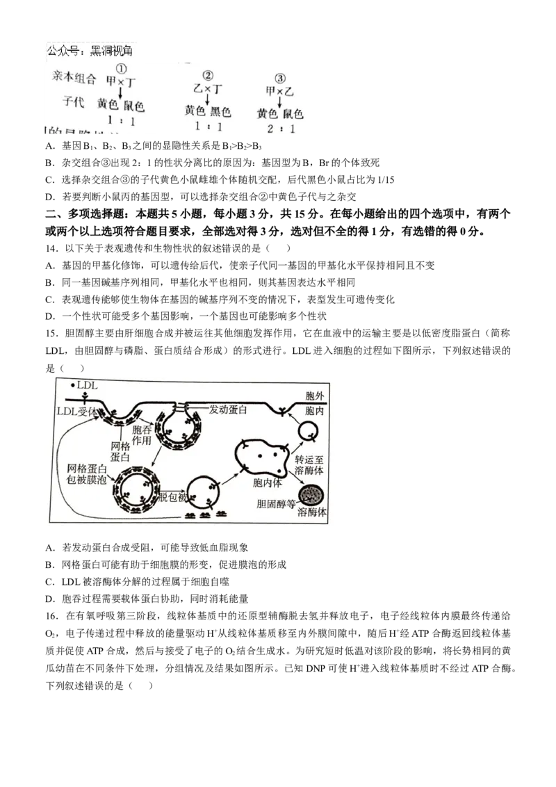 河北省承德市2024-2025学年高三上学期期中考试生物试卷（含答案）_2024-2025高三（6-6月题库）_2024年11月试卷_1128河北省承德市2024-2025学年高三上学期期中考试（金太阳25-122C）