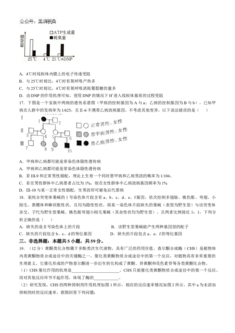 河北省承德市2024-2025学年高三上学期期中考试生物试卷（含答案）_2024-2025高三（6-6月题库）_2024年11月试卷_1128河北省承德市2024-2025学年高三上学期期中考试（金太阳25-122C）