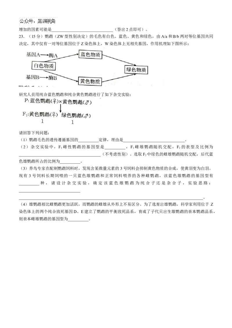 河北省承德市2024-2025学年高三上学期期中考试生物试卷（含答案）_2024-2025高三（6-6月题库）_2024年11月试卷_1128河北省承德市2024-2025学年高三上学期期中考试（金太阳25-122C）