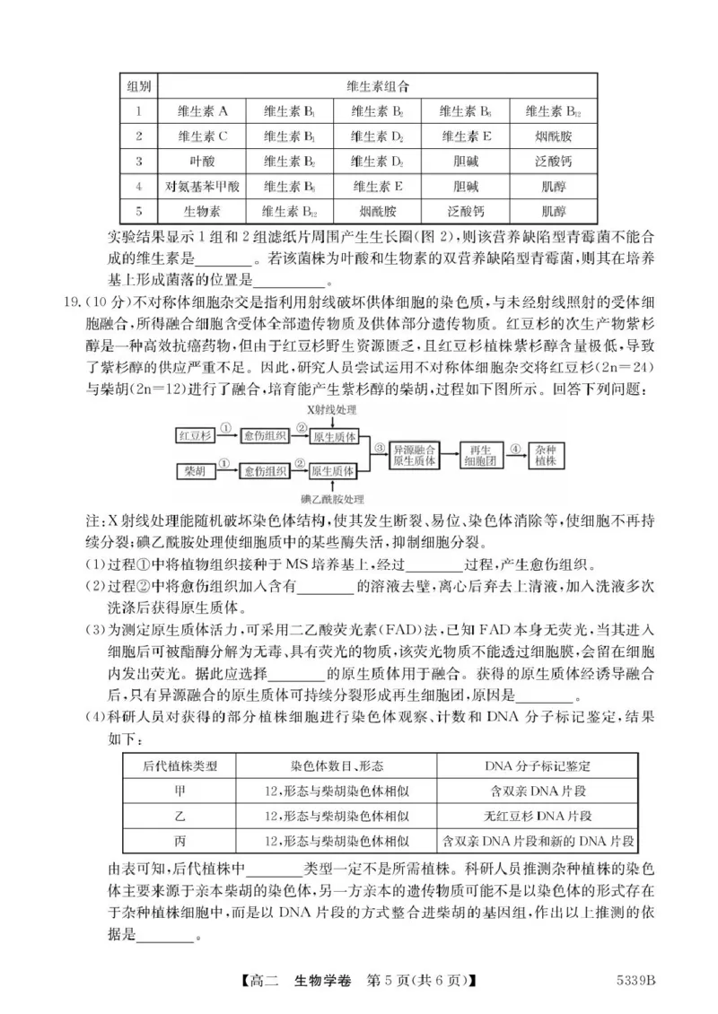 广东省清远市2024-2025学年高二下学期期中考试生物PDF版含答案_2024-2025高二（7-7月题库）_2025年05月试卷_0521广东省清远市2024-2025学年高二下学期期中考试