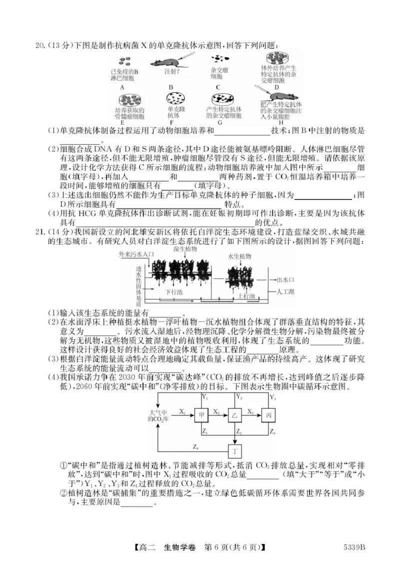 广东省清远市2024-2025学年高二下学期期中考试生物PDF版含答案_2024-2025高二（7-7月题库）_2025年05月试卷_0521广东省清远市2024-2025学年高二下学期期中考试