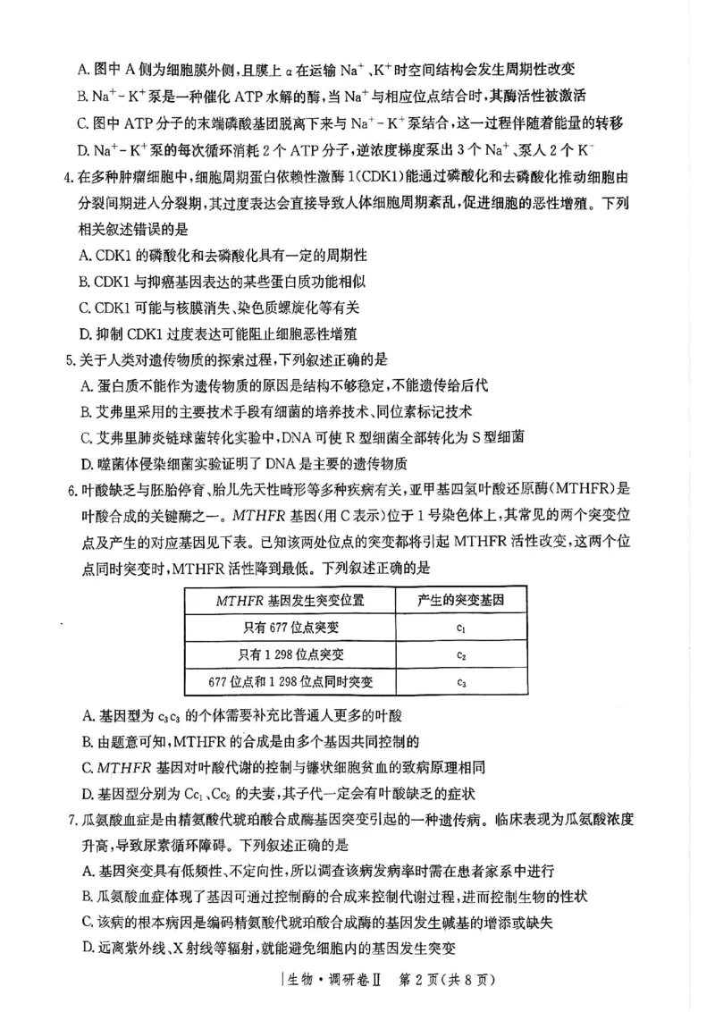河北省邯郸市部分校2024-2025学年高三上学期12月月考生物试卷_2024-2025高三（6-6月题库）_2024年12月试卷_1229河北省邯郸市2024-2025学年高三上学期12月月考