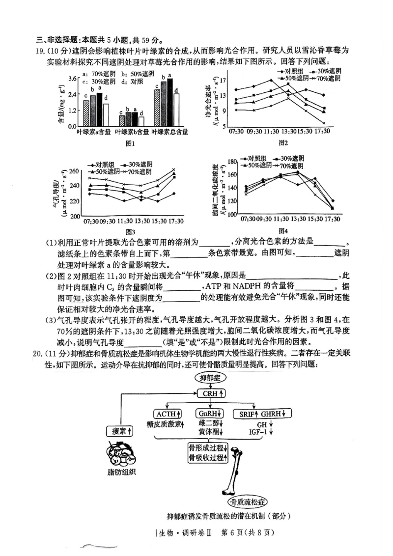 河北省邯郸市部分校2024-2025学年高三上学期12月月考生物试卷_2024-2025高三（6-6月题库）_2024年12月试卷_1229河北省邯郸市2024-2025学年高三上学期12月月考