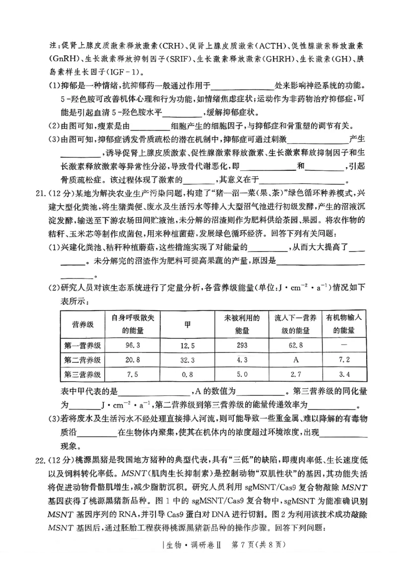 河北省邯郸市部分校2024-2025学年高三上学期12月月考生物试卷_2024-2025高三（6-6月题库）_2024年12月试卷_1229河北省邯郸市2024-2025学年高三上学期12月月考