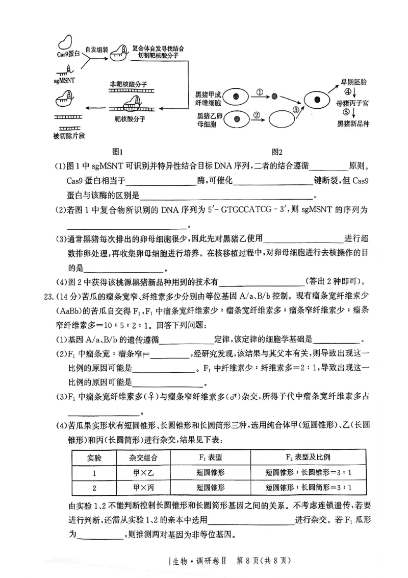 河北省邯郸市部分校2024-2025学年高三上学期12月月考生物试卷_2024-2025高三（6-6月题库）_2024年12月试卷_1229河北省邯郸市2024-2025学年高三上学期12月月考