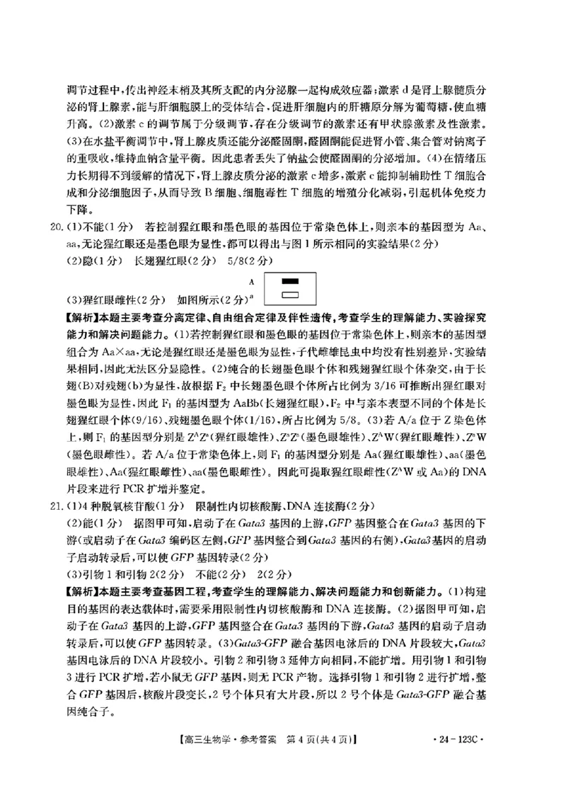 广西省2024届高三11月金太阳跨市大联考（24-123C)生物(1)_2023年11月_01每日更新_27号_2024届广西省高三11月金太阳跨市大联考（24-123C)