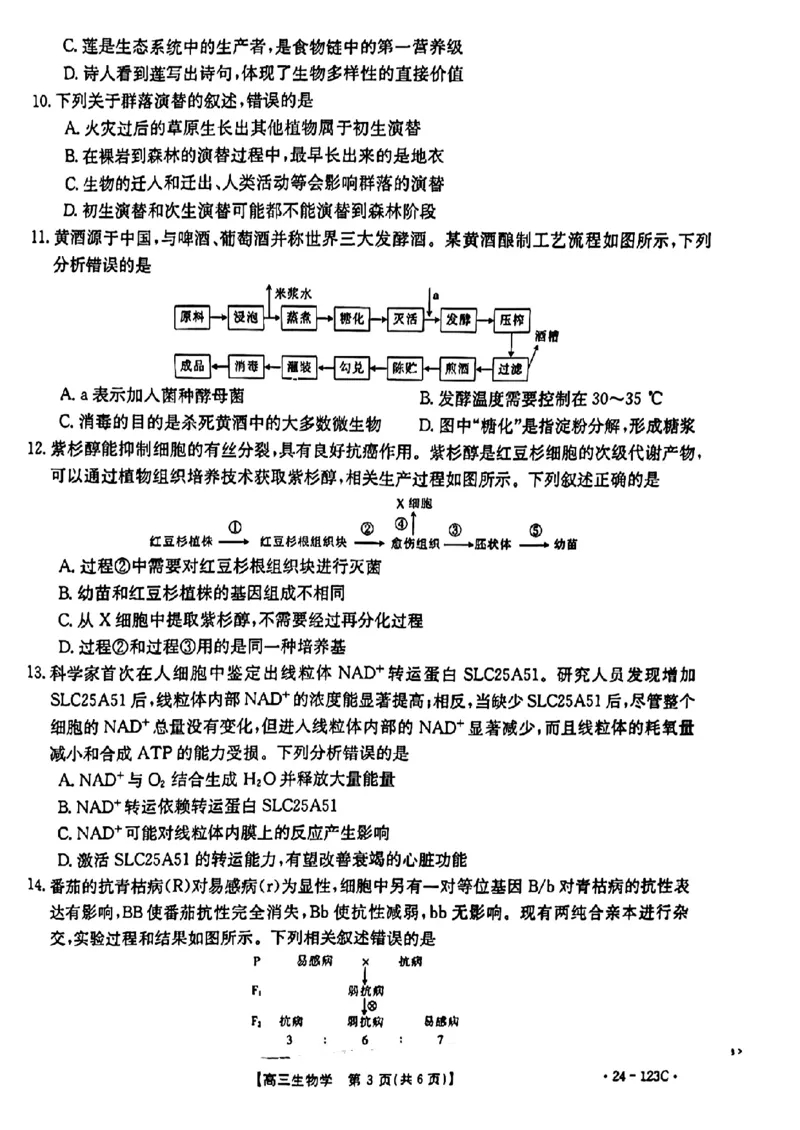 广西省2024届高三11月金太阳跨市大联考（24-123C)生物(1)_2023年11月_01每日更新_27号_2024届广西省高三11月金太阳跨市大联考（24-123C)