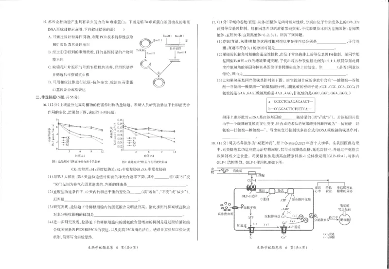 生物_2024年5月_01按日期_14号_2024届安徽省芜湖市高三下学期二模_安徽省芜湖市2024届高三下学期二模生物试题扫描版含答案