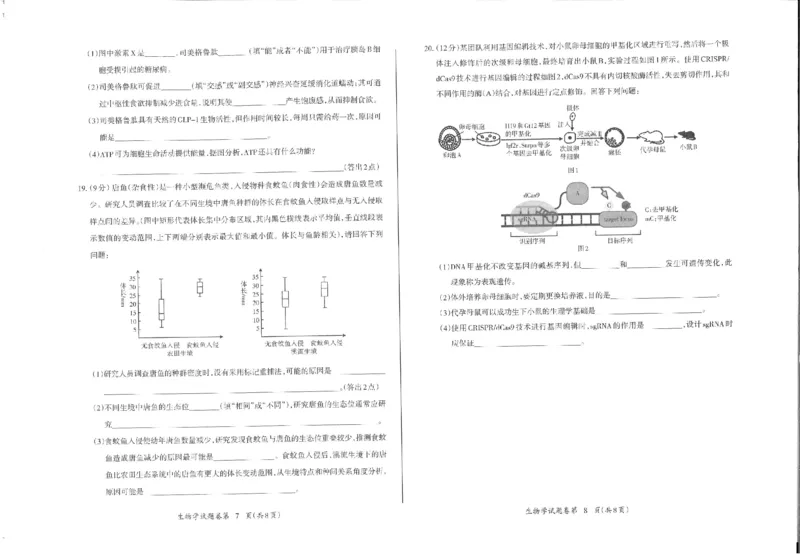生物_2024年5月_01按日期_14号_2024届安徽省芜湖市高三下学期二模_安徽省芜湖市2024届高三下学期二模生物试题扫描版含答案