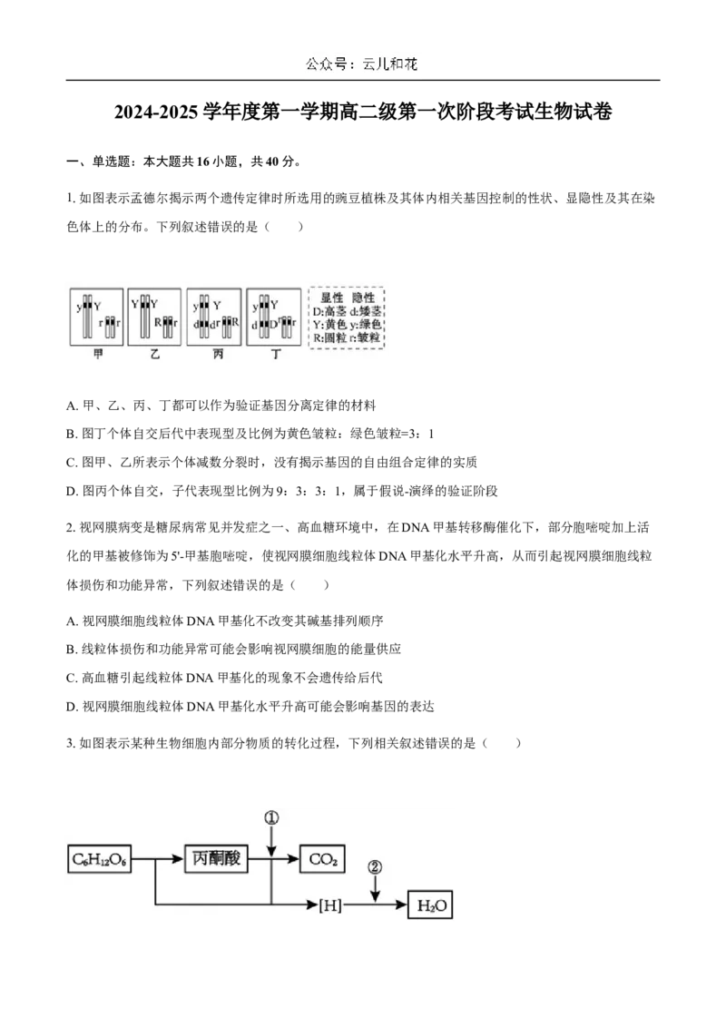 广东省揭阳市惠来县第一中学2024-2025学年高二上学期第一次阶段考试生物试题_2024-2025高二（7-7月题库）_2024年11月试卷