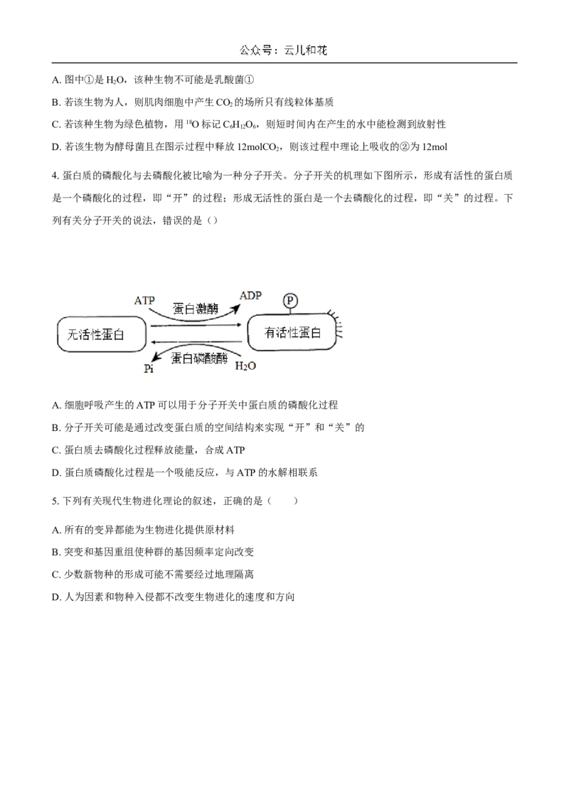广东省揭阳市惠来县第一中学2024-2025学年高二上学期第一次阶段考试生物试题_2024-2025高二（7-7月题库）_2024年11月试卷