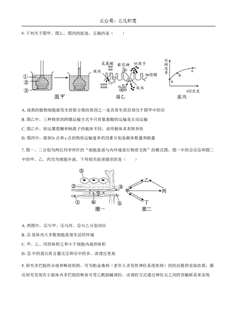 广东省揭阳市惠来县第一中学2024-2025学年高二上学期第一次阶段考试生物试题_2024-2025高二（7-7月题库）_2024年11月试卷