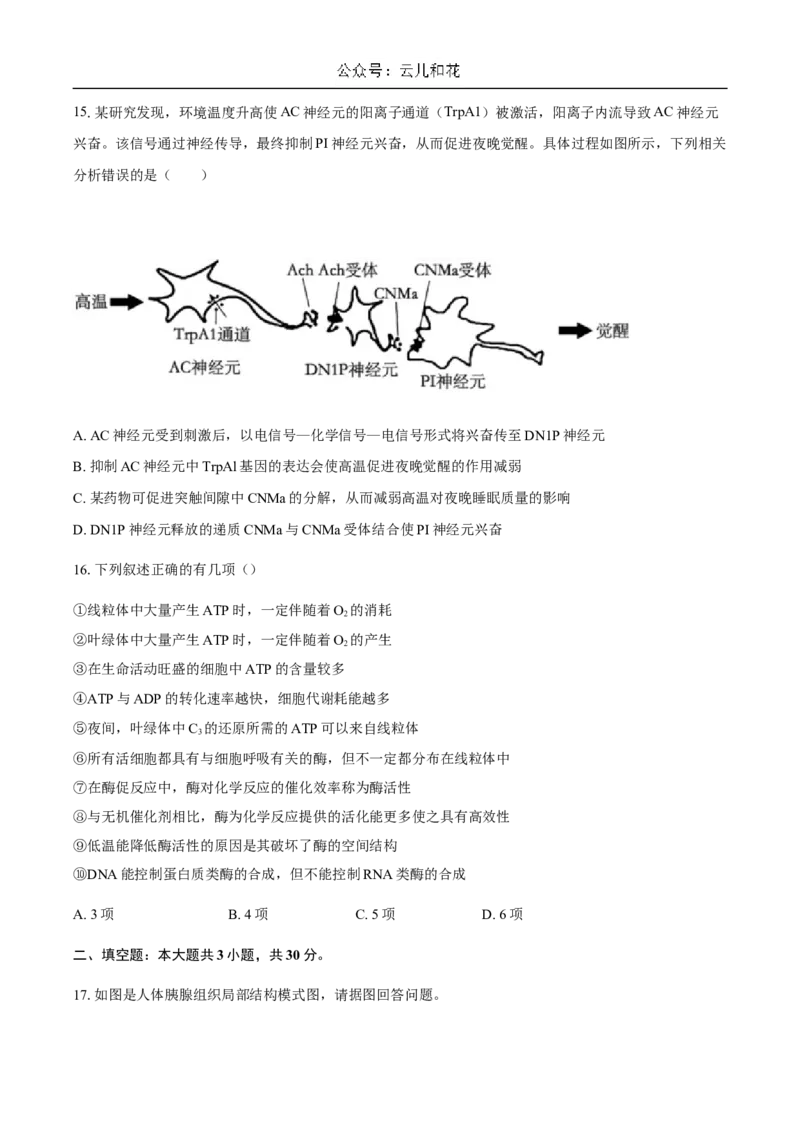 广东省揭阳市惠来县第一中学2024-2025学年高二上学期第一次阶段考试生物试题_2024-2025高二（7-7月题库）_2024年11月试卷