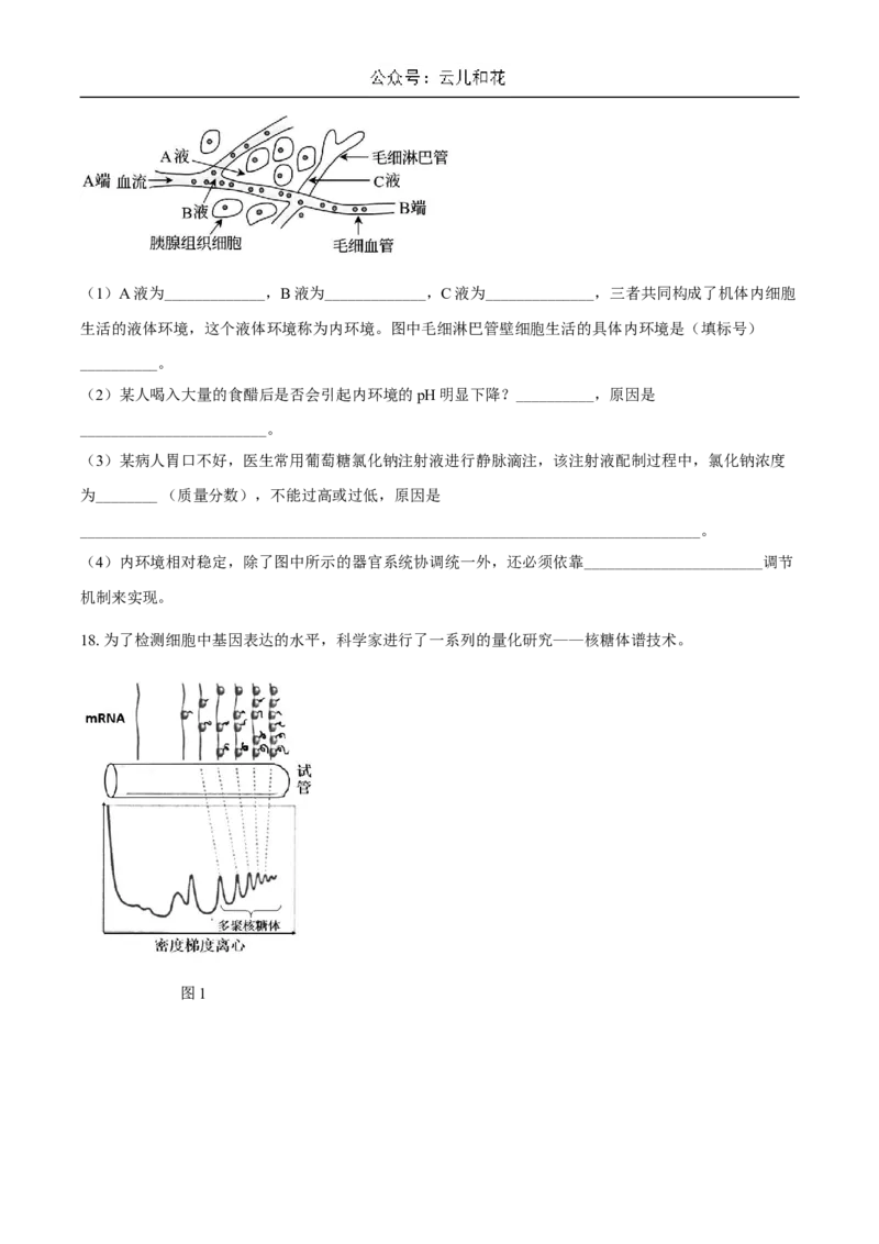 广东省揭阳市惠来县第一中学2024-2025学年高二上学期第一次阶段考试生物试题_2024-2025高二（7-7月题库）_2024年11月试卷