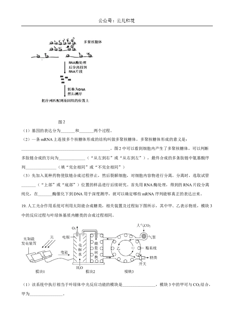 广东省揭阳市惠来县第一中学2024-2025学年高二上学期第一次阶段考试生物试题_2024-2025高二（7-7月题库）_2024年11月试卷