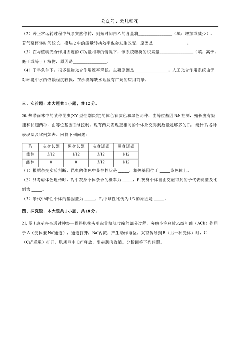 广东省揭阳市惠来县第一中学2024-2025学年高二上学期第一次阶段考试生物试题_2024-2025高二（7-7月题库）_2024年11月试卷