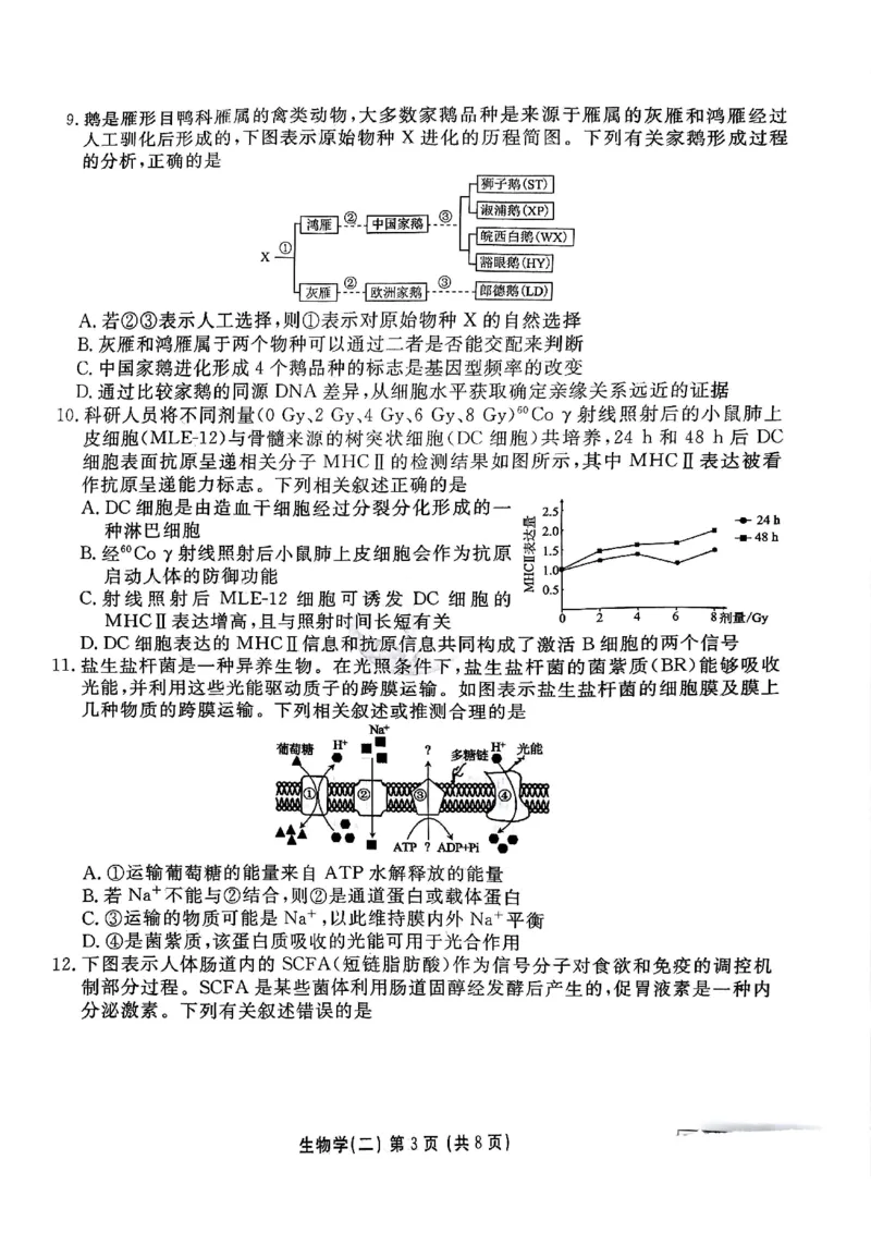 河北省衡水金卷先享题2025届高三一轮复习夯基卷（二）生物_2024-2025高三（6-6月题库）_2024年12月试卷_1230河北省衡水金卷先享题2025届高三一轮复习夯基卷（二）