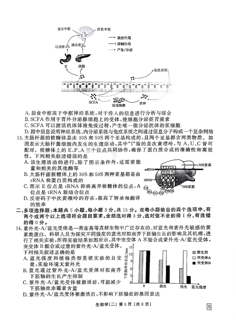 河北省衡水金卷先享题2025届高三一轮复习夯基卷（二）生物_2024-2025高三（6-6月题库）_2024年12月试卷_1230河北省衡水金卷先享题2025届高三一轮复习夯基卷（二）