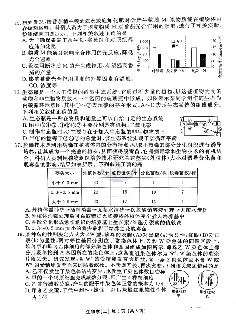 河北省衡水金卷先享题2025届高三一轮复习夯基卷（二）生物_2024-2025高三（6-6月题库）_2024年12月试卷_1230河北省衡水金卷先享题2025届高三一轮复习夯基卷（二）