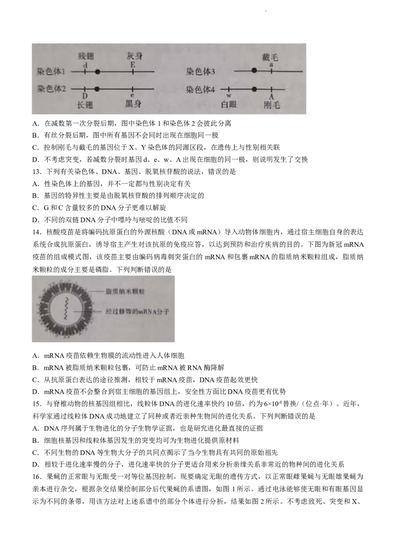 安徽省江淮十校2024届高三第二次联考试题生物(1)_2023年11月_01每日更新_12号_2024届安徽省江淮十校高三第二次联考试题