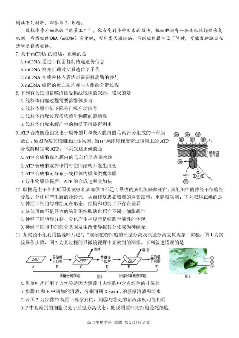 浙江省丽水市发展共同体2024-2025学年高二下学期4月期中联考生物试卷（扫描版有答案）_2024-2025高二（7-7月题库）_2025年04月试卷(1)