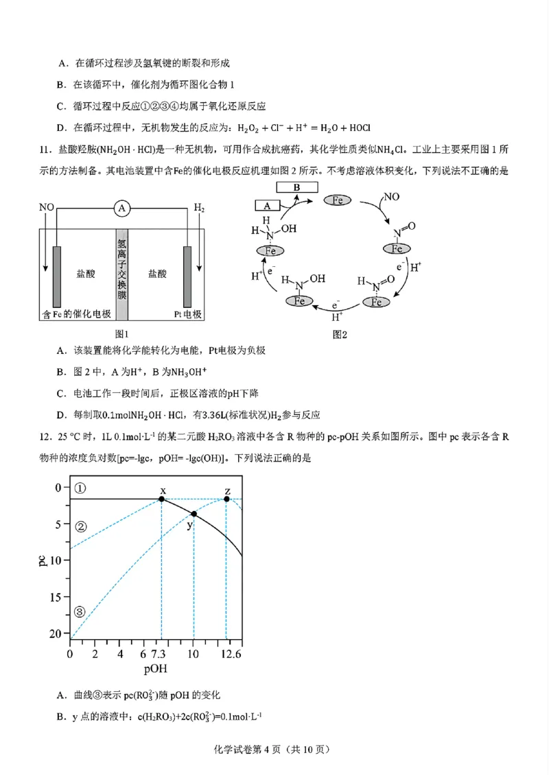 化学-2025届高三八省适应性联考模拟演练考试二_2024-2025高三（6-6月题库）_2024年11月试卷_11102025届高三八省适应性联考模拟演练考试（二）