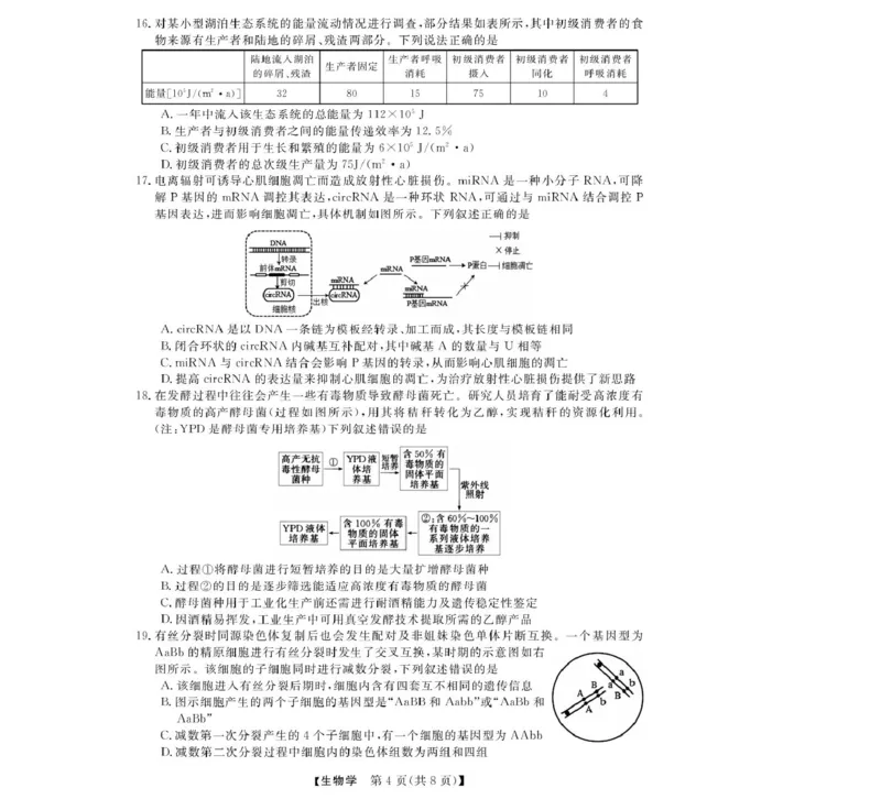 浙江省强基联盟2024-2025学年高二下学期4月期中联考生物试卷（扫描版有解析）_2024-2025高二（7-7月题库）_2025年05月试卷_0519浙江省强基联盟2024-2025学年高二下学期4月期中联考试题