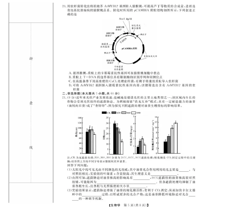浙江省强基联盟2024-2025学年高二下学期4月期中联考生物试卷（扫描版有解析）_2024-2025高二（7-7月题库）_2025年05月试卷_0519浙江省强基联盟2024-2025学年高二下学期4月期中联考试题