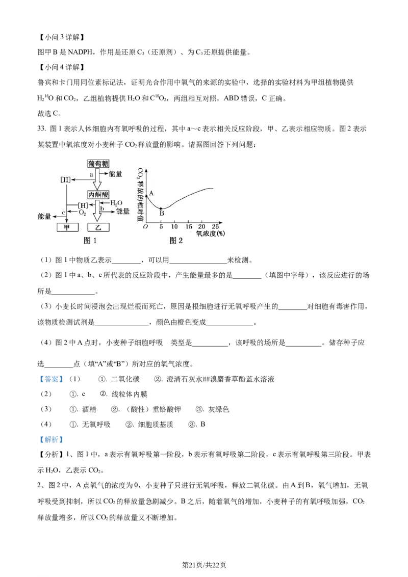 精品解析：甘肃省武威市凉州区2023-2024学年高三上学期第三次诊断考试生物试题（解析版）(1)_2023年11月_0211月合集_2024届甘肃省武威市凉州区高三上学期第三次诊断考试