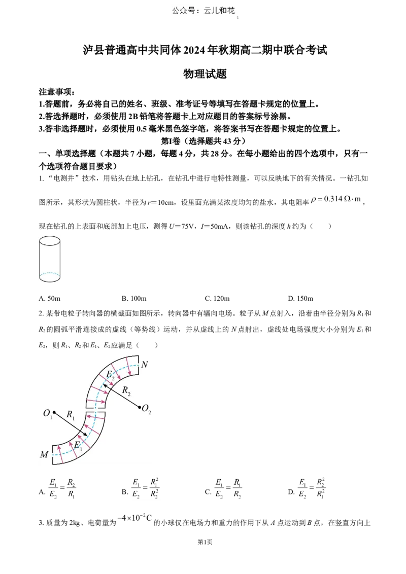四川省泸州市泸县普通高中共同体2024-2025学年高二上学期11月期中考试物理（含答案）_2024-2025高二（7-7月题库）_2024年12月试卷