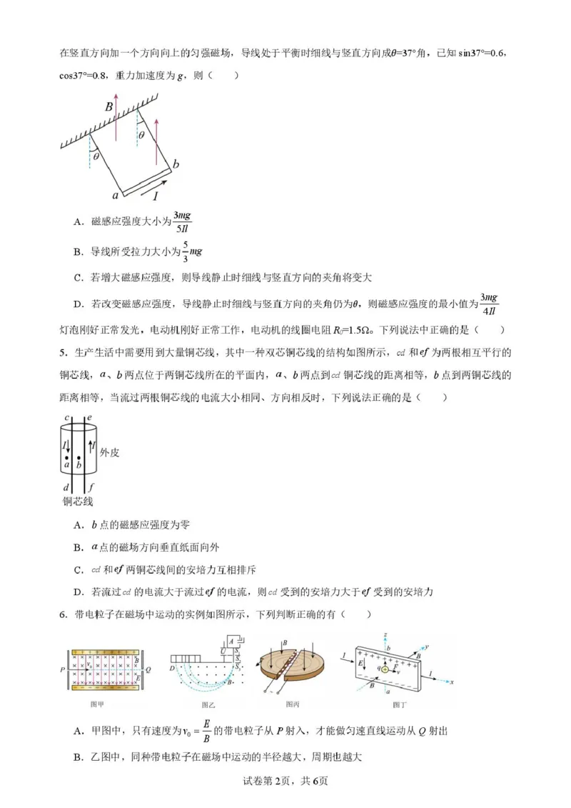 四川省内江市第六中学2025学年下期高二入学考试物理试题（含答案）_2024-2025高二（7-7月题库）_2025年03月试卷_0309四川省内江市第六中学2024-2025学年高二下学期入学考试