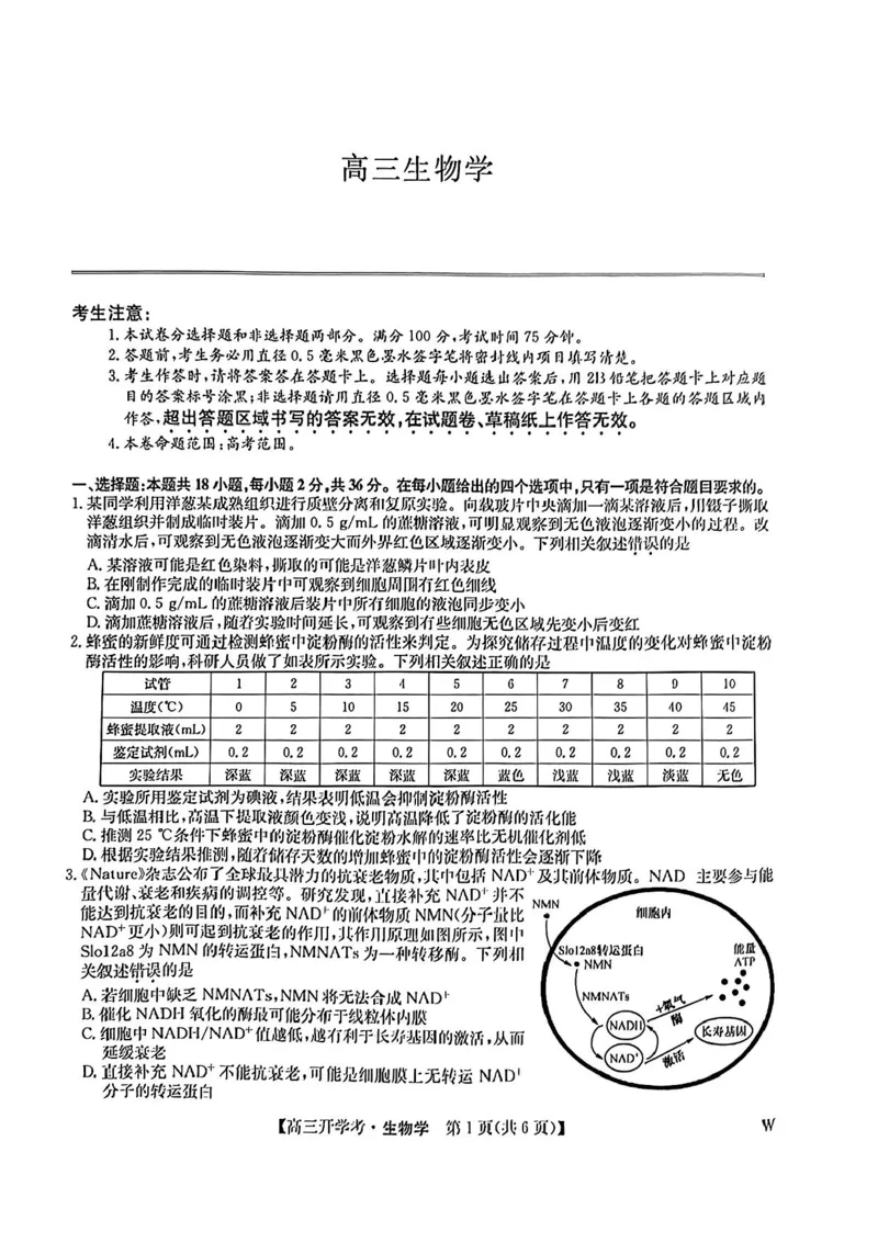九师联盟2024-2025学年高三上学期8月联考生物试卷_2024-2025高三（6-6月题库）_2024年08月试卷_0830九师联盟2024-2025学年高三上学期8月开学联考