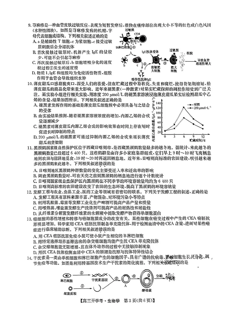 九师联盟2024-2025学年高三上学期8月联考生物试卷_2024-2025高三（6-6月题库）_2024年08月试卷_0830九师联盟2024-2025学年高三上学期8月开学联考