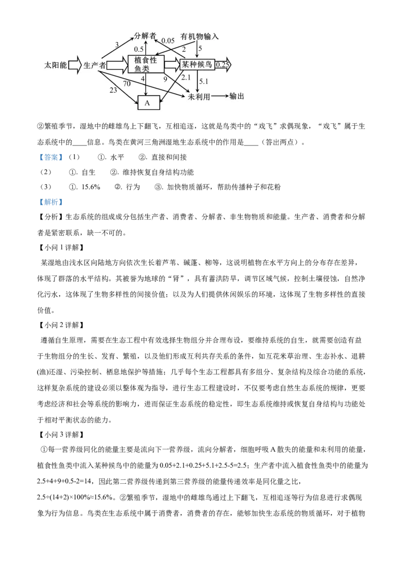 精品解析：辽宁省沈阳市浑南区东北育才学校2023-2024学年高三下学期一模生物试题（解析版）_2024年3月_013月合集_2024届辽宁省东北育才学校高三下第六次模拟考试