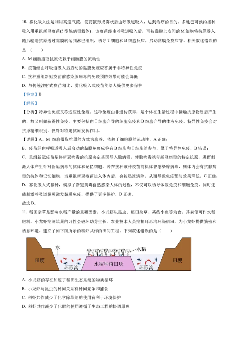 精品解析：辽宁省沈阳市浑南区东北育才学校2023-2024学年高三下学期一模生物试题（解析版）_2024年3月_013月合集_2024届辽宁省东北育才学校高三下第六次模拟考试