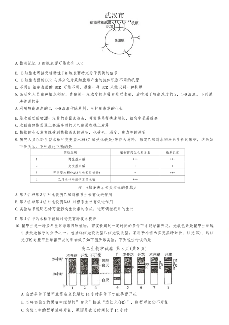 湖北省武汉市部分重点中学2024-2025学年高二上学期期末生物试卷_2024-2025高二（7-7月题库）_2025年02月试卷_0221湖北省部分重点中学2024-2025学年高二上学期期末联考