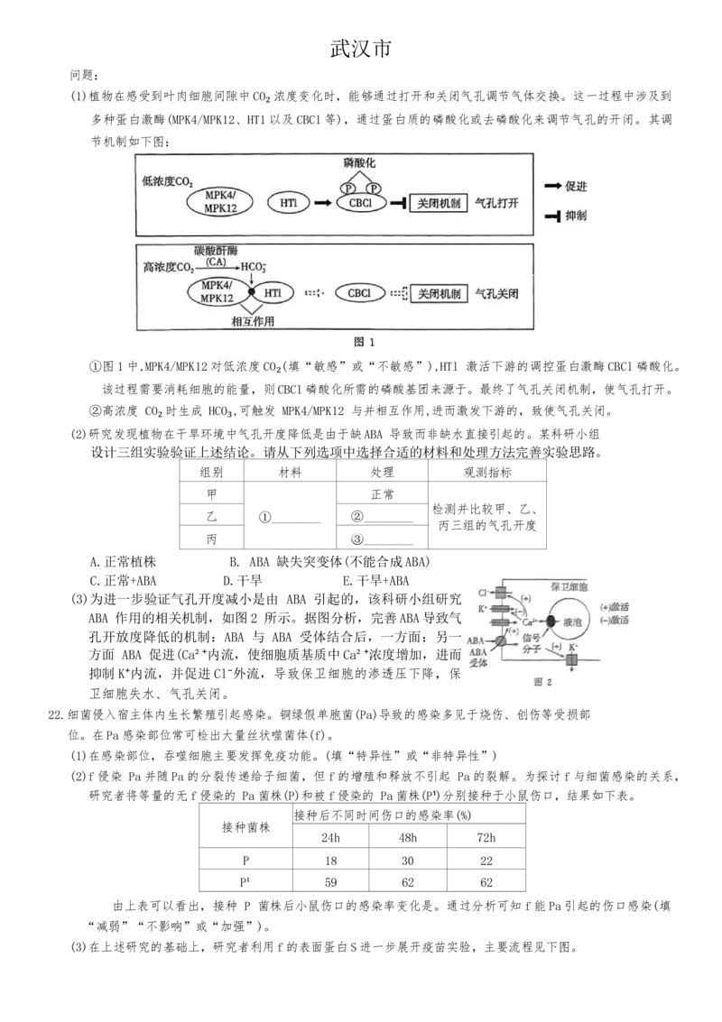 湖北省武汉市部分重点中学2024-2025学年高二上学期期末生物试卷_2024-2025高二（7-7月题库）_2025年02月试卷_0221湖北省部分重点中学2024-2025学年高二上学期期末联考