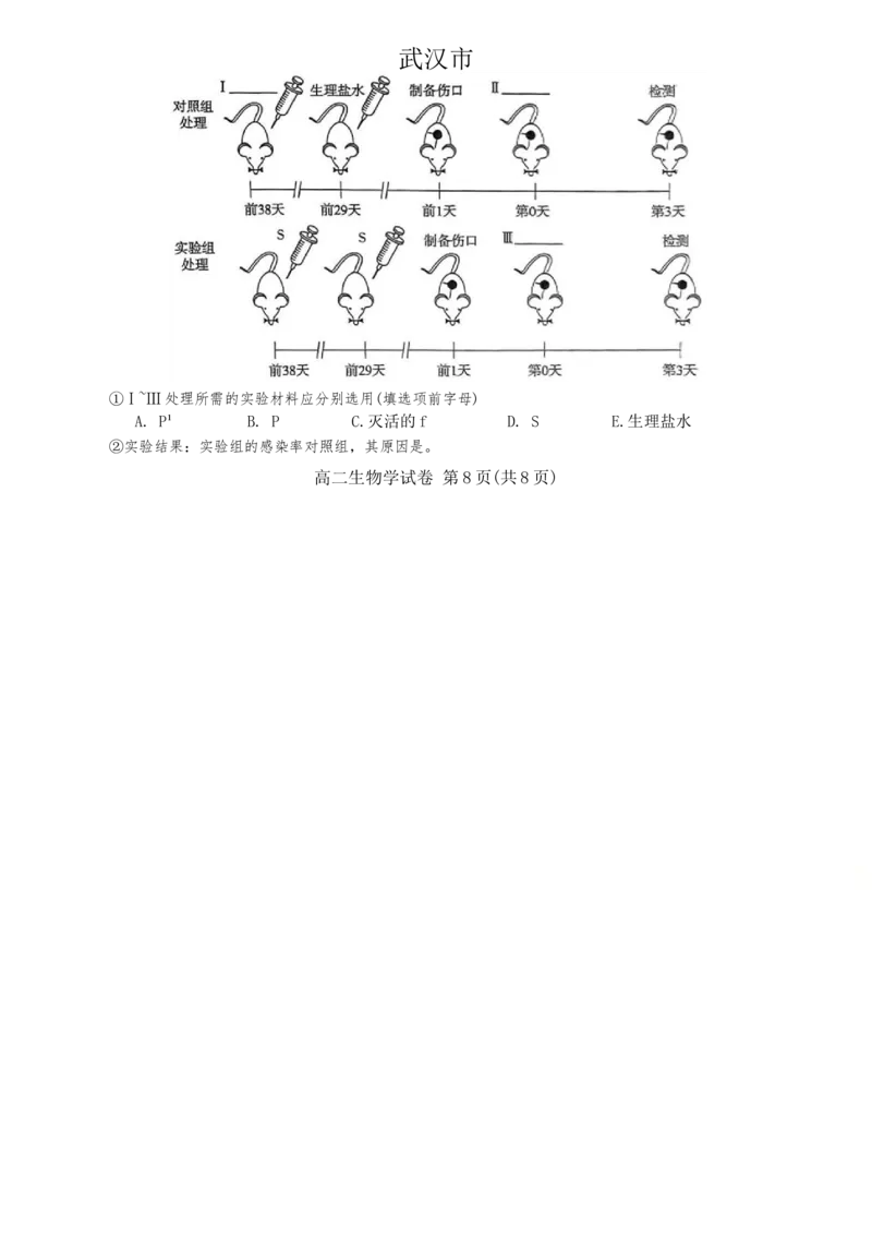 湖北省武汉市部分重点中学2024-2025学年高二上学期期末生物试卷_2024-2025高二（7-7月题库）_2025年02月试卷_0221湖北省部分重点中学2024-2025学年高二上学期期末联考