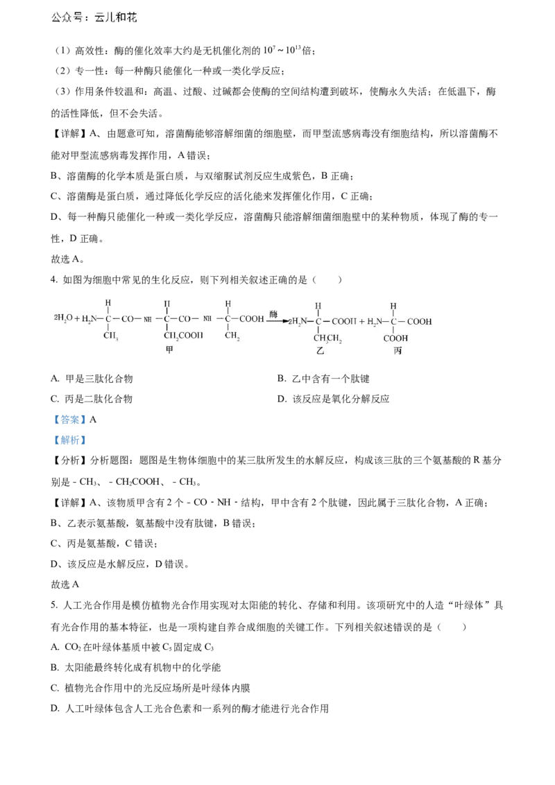 天津市红桥区2023-2024学年高二下学期7月期末考试生物Word版含解析_2024-2025高二（7-7月题库）_2024年07月试卷_0724天津市红桥区2023-2024学年高二下学期7月期末考试