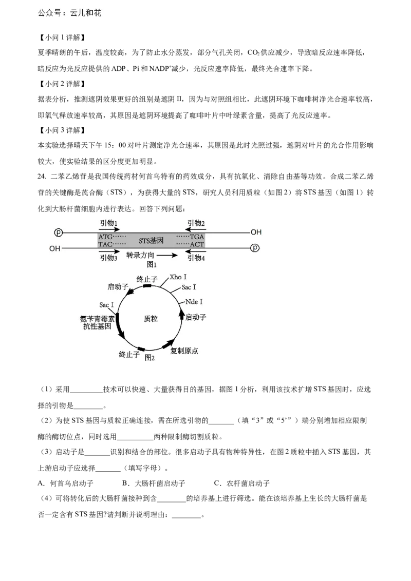 天津市红桥区2023-2024学年高二下学期7月期末考试生物Word版含解析_2024-2025高二（7-7月题库）_2024年07月试卷_0724天津市红桥区2023-2024学年高二下学期7月期末考试