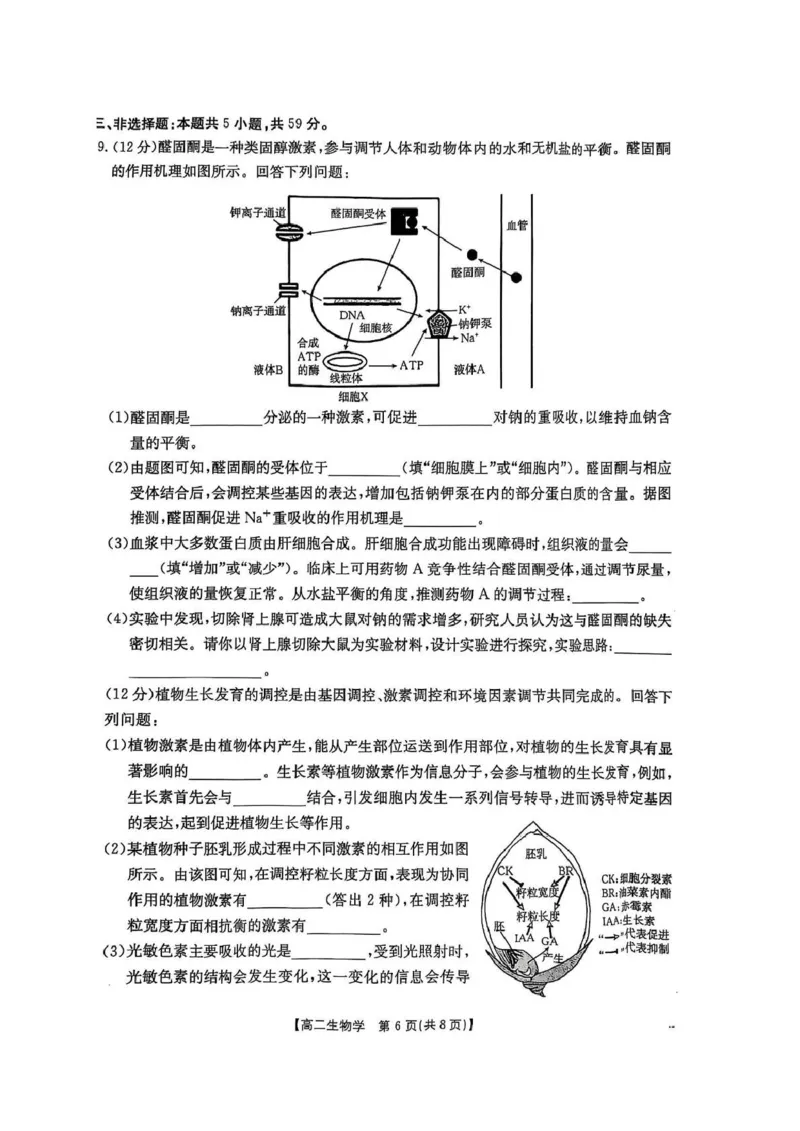河北省保定市部分高中2024-2025学年高二下学期开学考试生物PDF版含答案_2024-2025高二（7-7月题库）_2025年03月试卷_0318河北省保定市部分高中2024-2025学年高二下学期开学考试